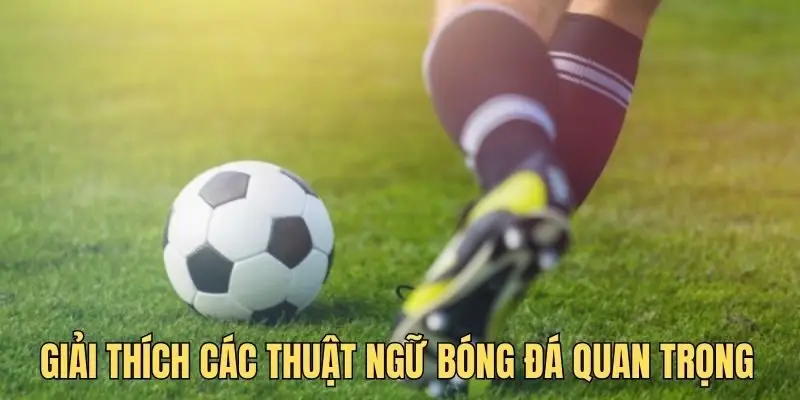 Thuật ngữ bóng đá