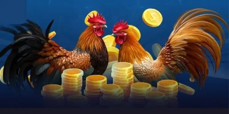 trực tiếp đá gà V9bet